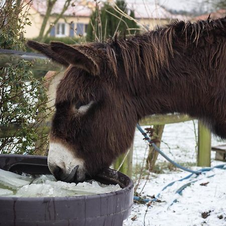 Domaine Des Fees Lejlighed La Gaubretiere Værelse billede