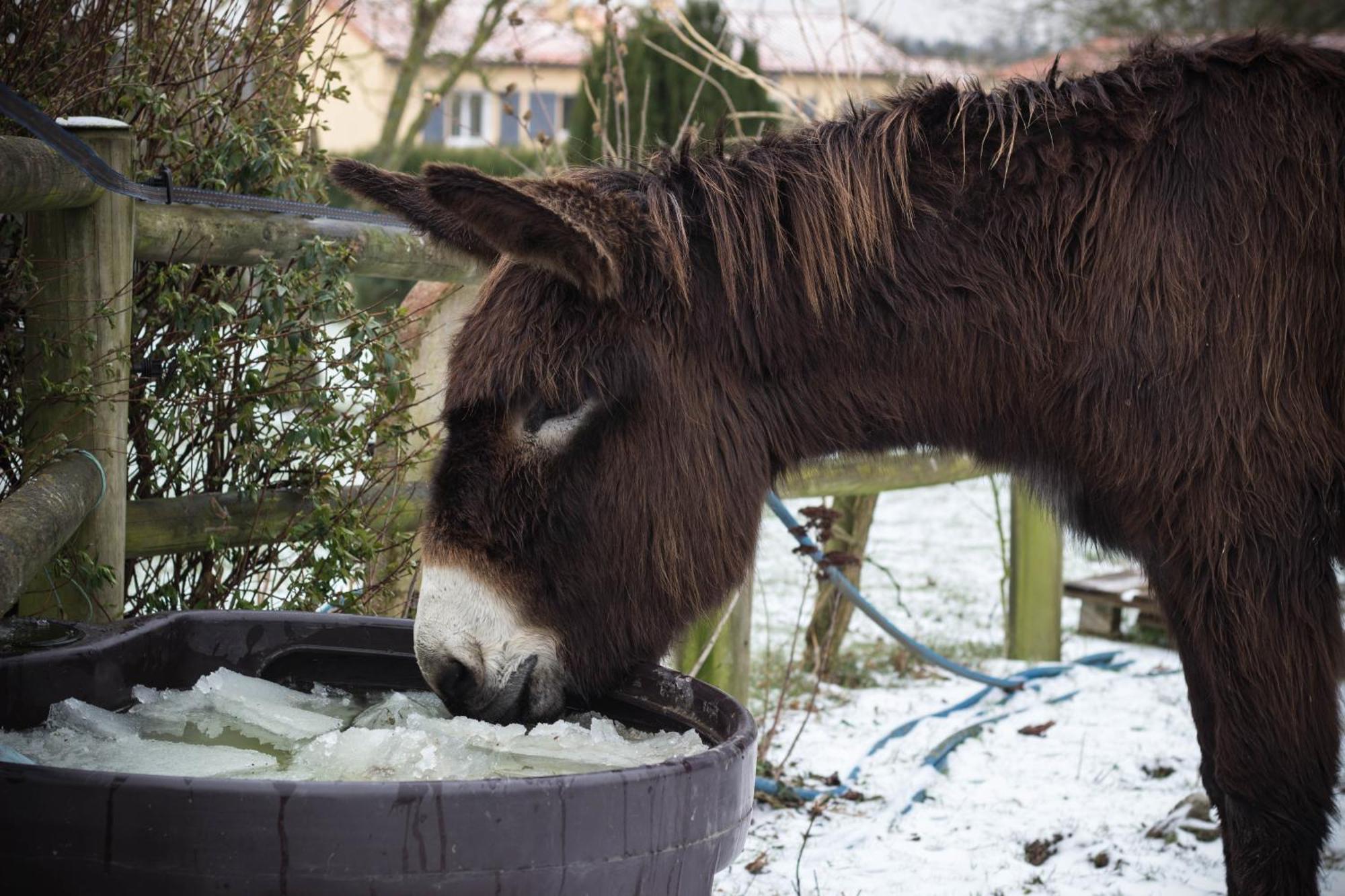 Domaine Des Fees Lejlighed La Gaubretiere Værelse billede